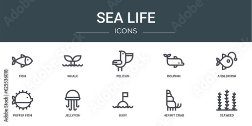 set of 10 outline web sea life icons such as fish, whale, pelican, dolphin, anglerfish, puffer fish, jellyfish vector icons for report, presentation, diagram, web design, mobile app