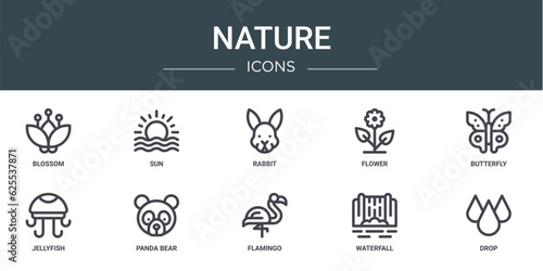 set of 10 outline web nature icons such as blossom, sun, rabbit, flower, butterfly, jellyfish, panda bear vector icons for report, presentation, diagram, web design, mobile app