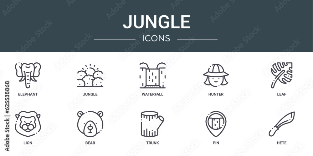 set of 10 outline web jungle icons such as elephant, jungle, waterfall, hunter, leaf, lion, bear vector icons for report, presentation, diagram, web design, mobile app