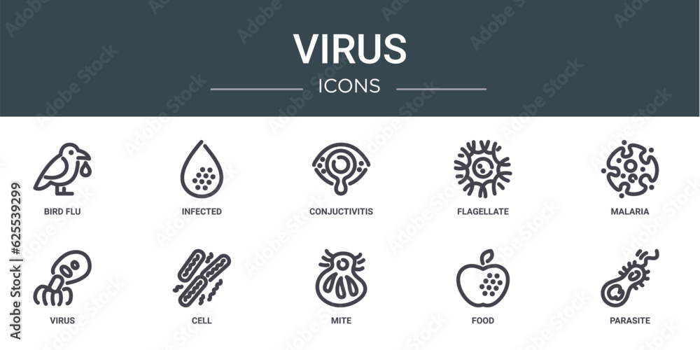 set of 10 outline web virus icons such as bird flu, infected, conjuctivitis, flagellate, malaria, virus, cell vector icons for report, presentation, diagram, web design, mobile app