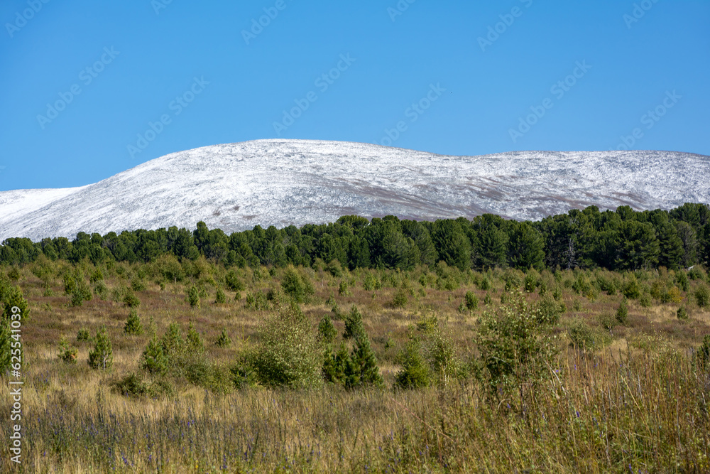 Obraz premium Sarlyk Mountain In Gorniy Altai