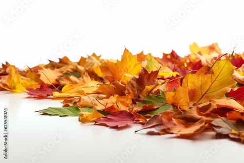 Autumn leaves isolated on white background. Autumn background with colorful leaves.