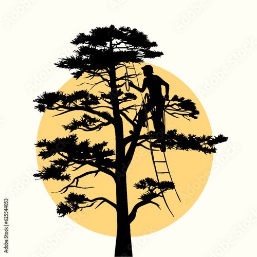 Tree climbers hanging on the tree. Woodwork. Pruning in the park.