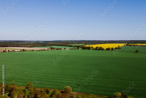 Ein weitreichendes grünes Feld mit einem Rapsfeld im Hintergrund aus der Drohnenansicht photo