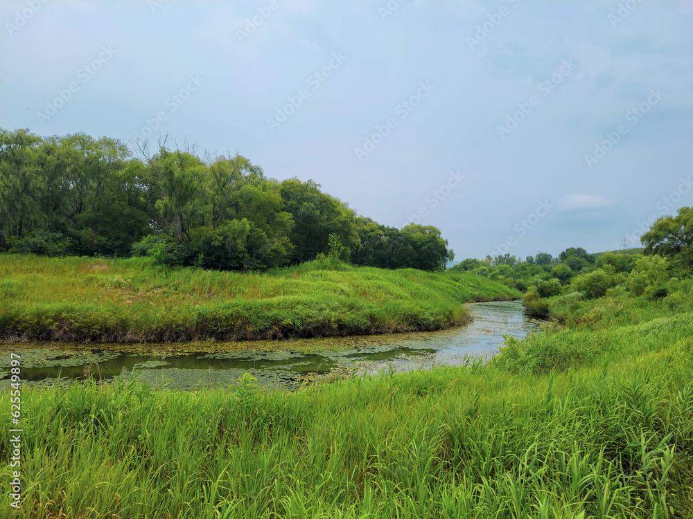 wetland with creek