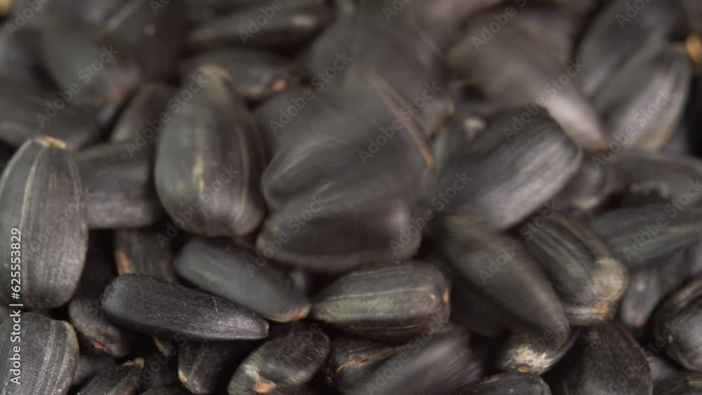 Roasted Sunflower Seeds Close-up Pouring in Glass Bowl. Harvesting Sunflower Unpeeled Seeds, Healthy Source of Vitamins in Vegan Food. Raw Materials for Sunflower Oil Roasted Sunflower Seeds Close-up Pouring in Glass Bowl. Harvesting Sunflower Unpeeled Seeds, Healthy Source of Vitamins in Vegan Food. Raw Materials for Sunflower Oil