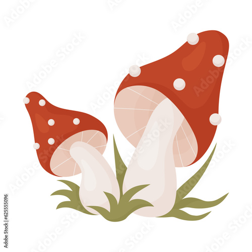 Fly agaric mushrooms in grass. Vector illustration in cartoon style. Beautiful poisonous red spotted forest mushrooms.
