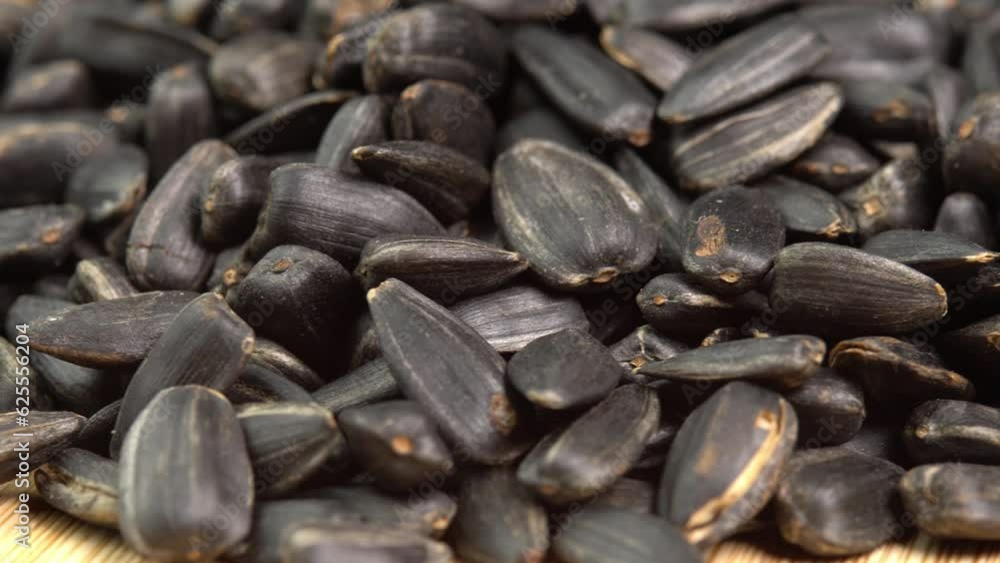 Roasted Sunflower Seeds Close-up rotate as background. Harvesting Sunflower Unpeeled Seeds, Healthy Source of Vitamins in Vegan Food. Raw Materials for Sunflower Oil Roasted Sunflower Seeds Close-up rotate as background. Harvesting Sunflower Unpeeled Seeds, Healthy Source of Vitamins in Vegan Food. Raw Materials for Sunflower Oil
