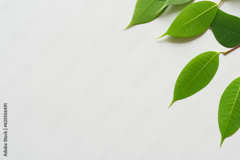 Beautiful Leaf Background with White Paper A Refreshing and Serene Combination Beautiful Leaf Background with White Paper A Refreshing and Serene Combination