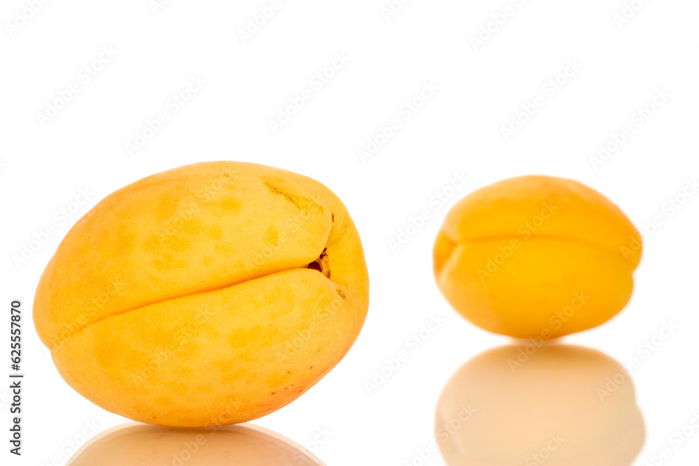 Two ripe sweet apricots, macro, isolated on white background. Two ripe sweet apricots, macro, isolated on white background.