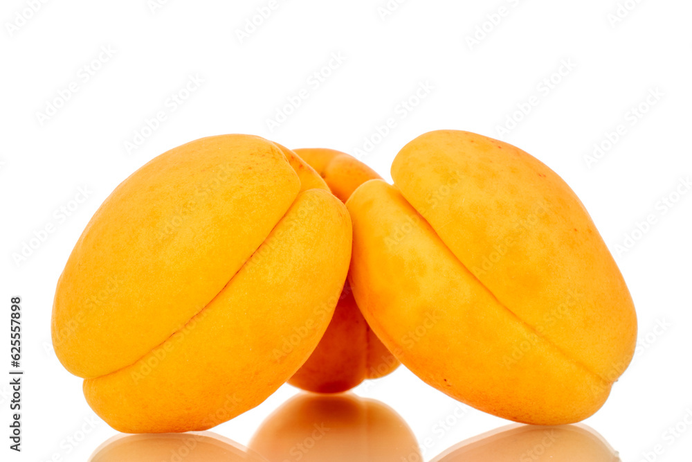 Three ripe sweet apricots, macro, isolated on white background. Three ripe sweet apricots, macro, isolated on white background.