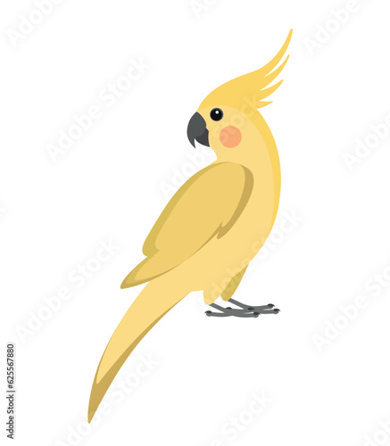Canvastavla Yellow vector cockatiel parrot isolated on white background