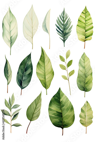 watercolor paintings of different types of leaves made with AI