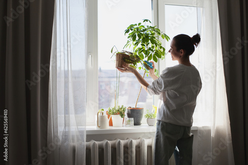 Fotografiet Young woman taking care of green house plants at home