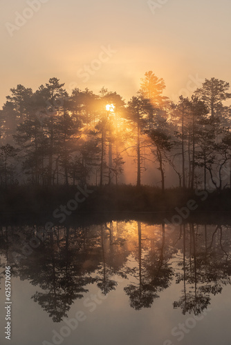 Sunrise over bog.