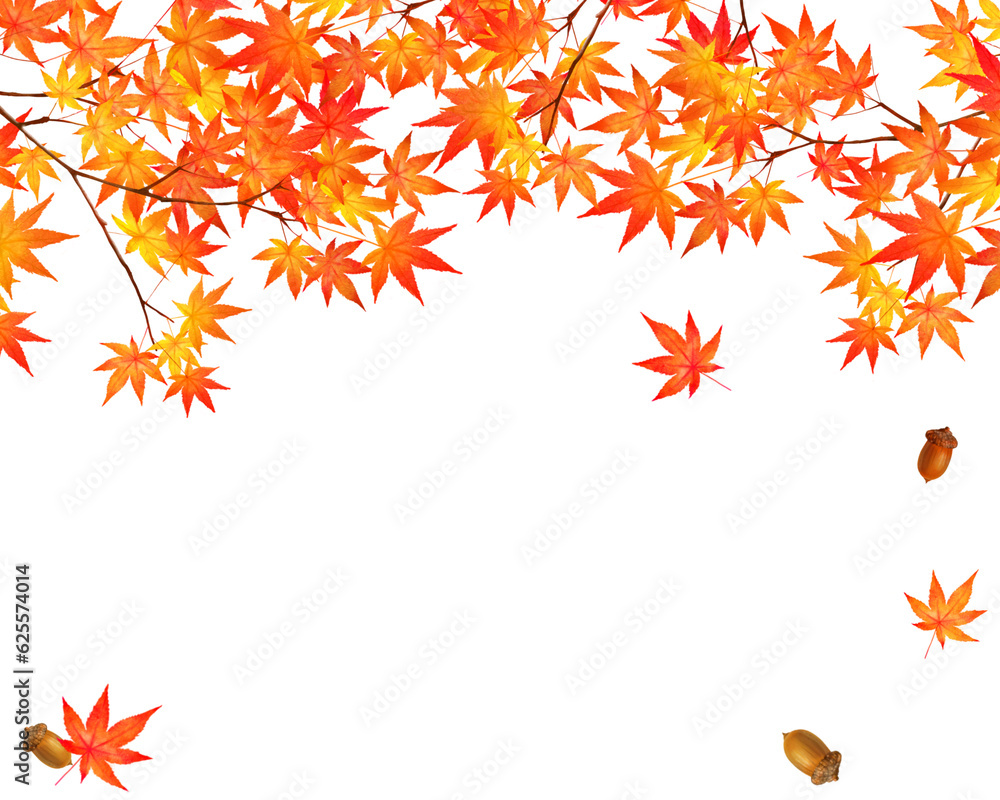 autumn leaves background