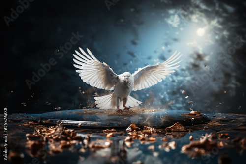 White dove flying with spread wings symbolize peace
