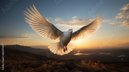 White dove flying with spread wings symbolize peace