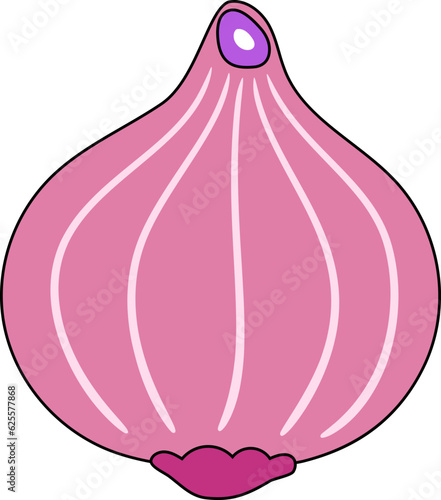 Onion Illustration