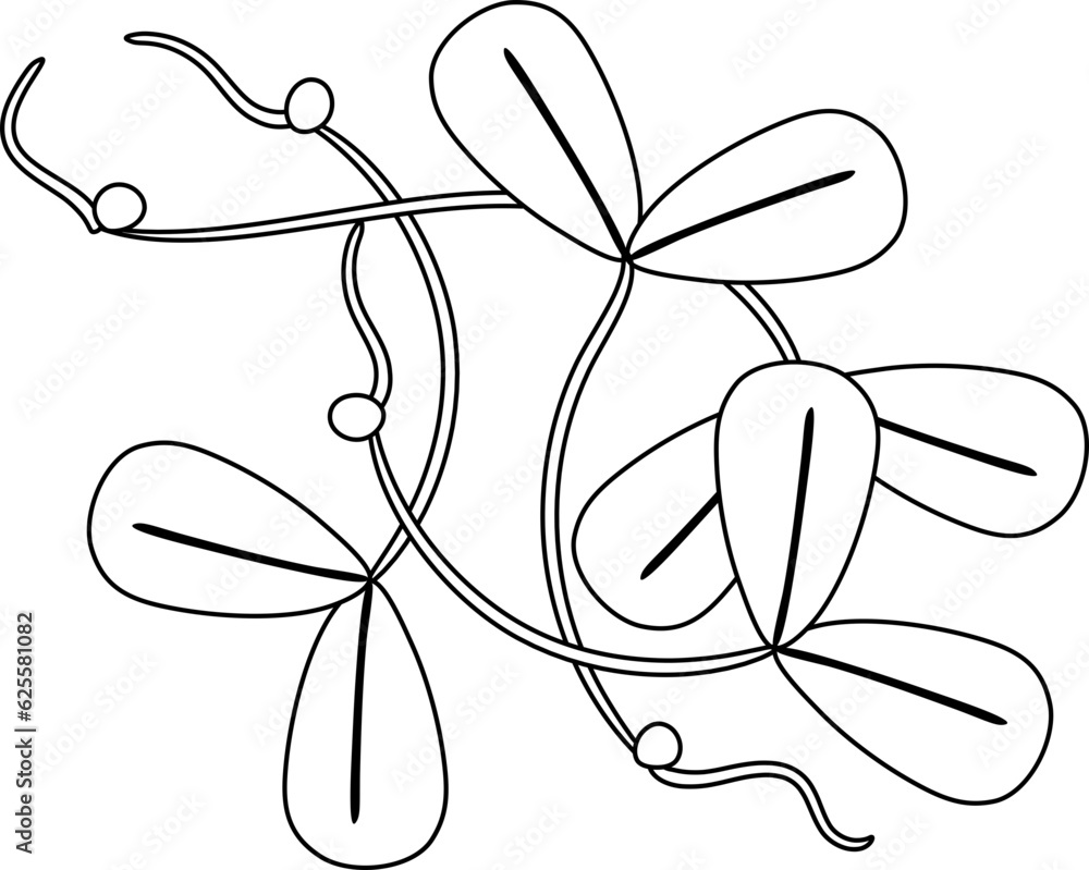 Alfalfa Outline Illustration Alfalfa Outline Illustration