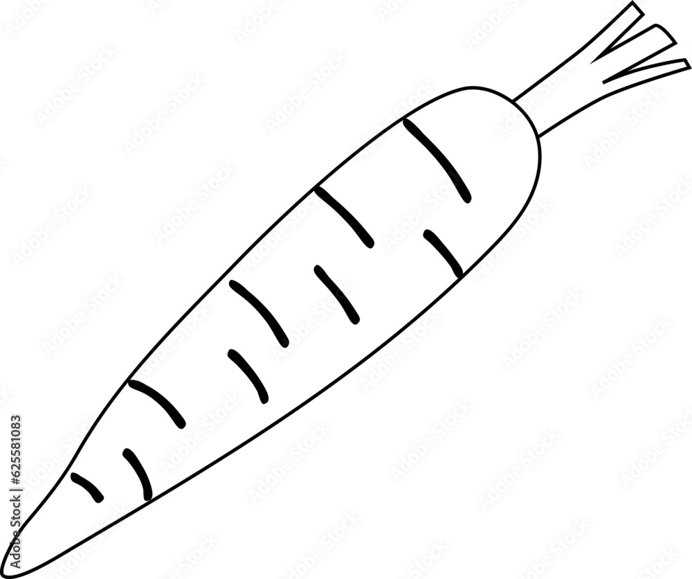 Obraz premium Carrot Outline Illustration