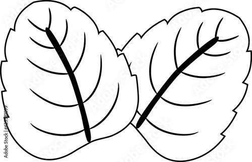 Mint Leaves Outline Illustration