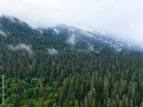Fototapeta Naklejka Na Ścianę i Meble -  Clouds drift across the rugged, forested landscape in Olympic National Park. This mountainous region of western Washington is absolutely beautiful and easily accessed during summer months.