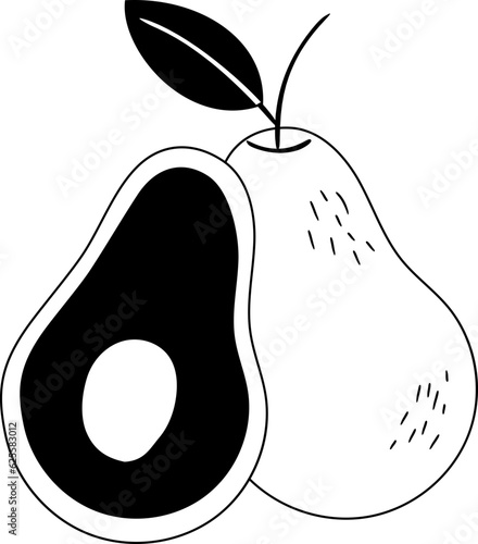 Avocadohand drawn design elements for decoration.