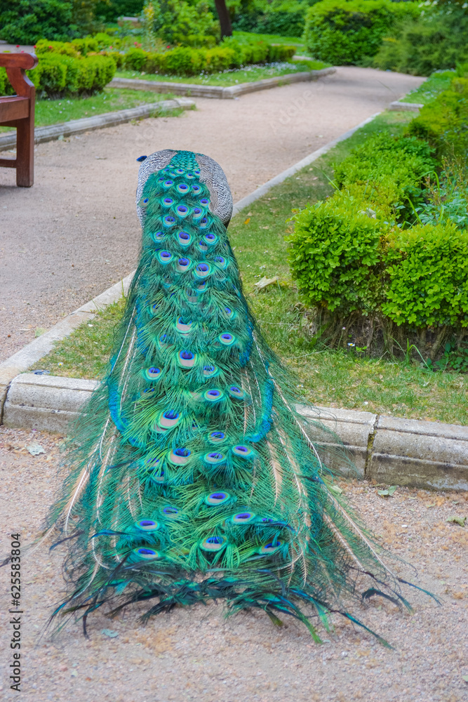 Fototapeta premium Spain, Madrid, 26.05.2016:&nbsp;Peacocks in the garden walk freely along the alleys