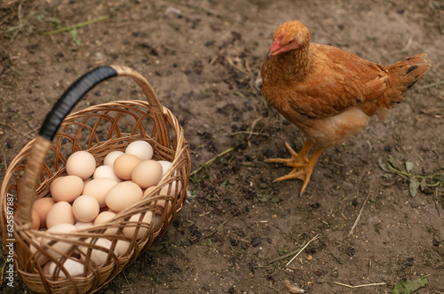 wicker basket with chicken eggs, eggs from the countryside against the backdrop of chickens