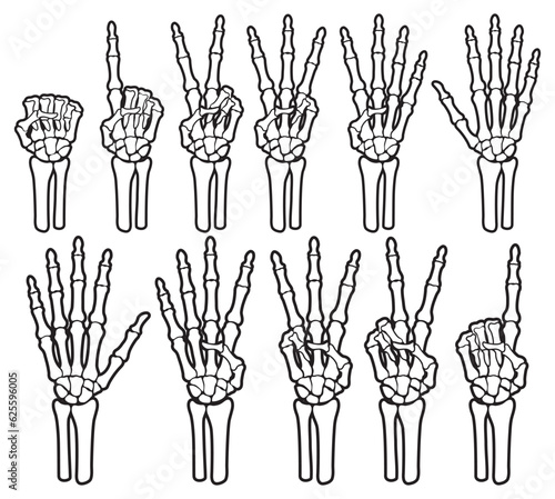 Skeleton bone hand counting number of fingers sign illustrations.