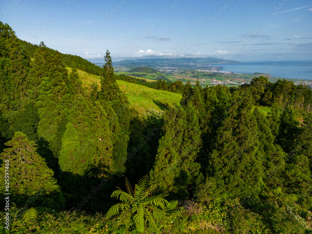 Fototapeta premium Traditional landscape in the Azores, lush green vegetation around. Aerial View. Sao Miguel, Azores, Portugal. 