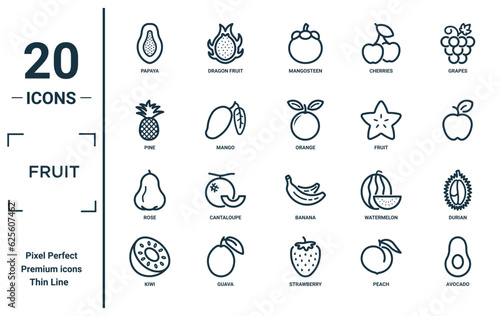 fruit linear icon set. includes thin line papaya, pine, rose, kiwi, avocado, orange, durian icons for report, presentation, diagram, web design