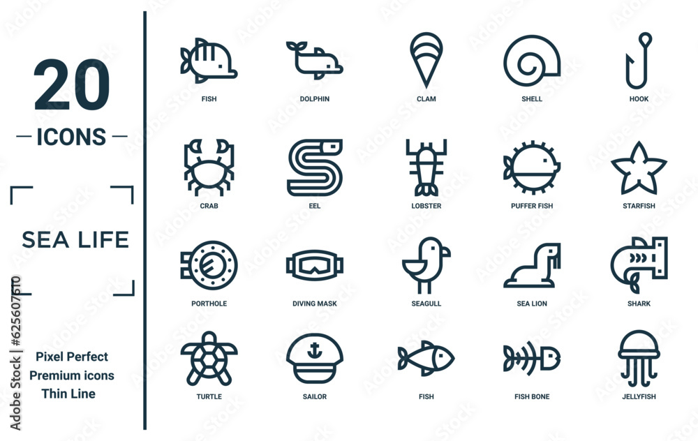 sea life linear icon set. includes thin line fish, crab, porthole, turtle, jellyfish, lobster, shark icons for report, presentation, diagram, web design