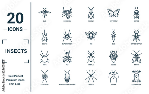 insects linear icon set. includes thin line bug, beetle, mite, centipede, caterpillar, bee, moth icons for report, presentation, diagram, web design