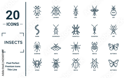 insects linear icon set. includes thin line bug, worm, scorpion, spider, butterfly, tarantula, butterfly icons for report, presentation, diagram, web design