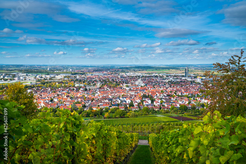 Germany, Fellbach city skyline vineyard panorama view autumn nature landscape above roofs houses tower vineyard at sunset with blue sky and sun