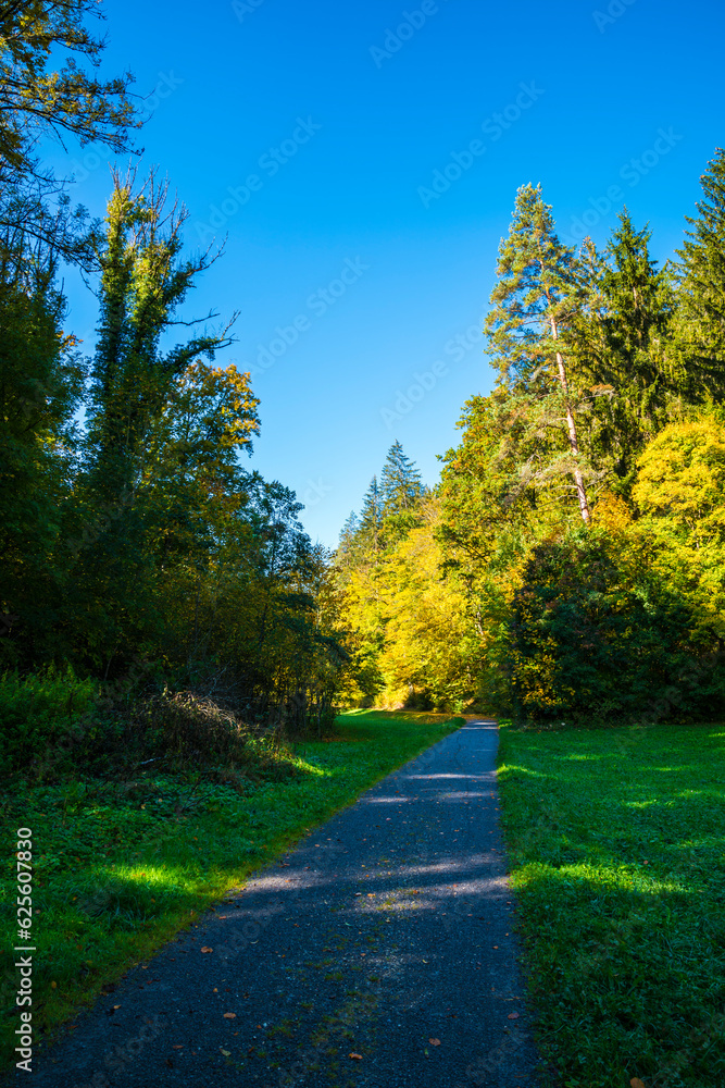 Germany, colorful trees at the edge of the forest in autumn, curved way parallel to the trees, sun with blue sky at sunset, romantic atmosphere