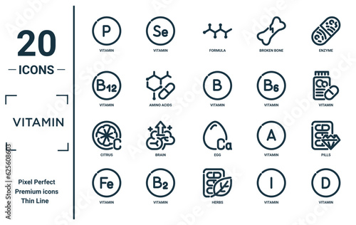 vitamin linear icon set. includes thin line vitamin, vitamin, citrus, pills icons for report, presentation, diagram, web design