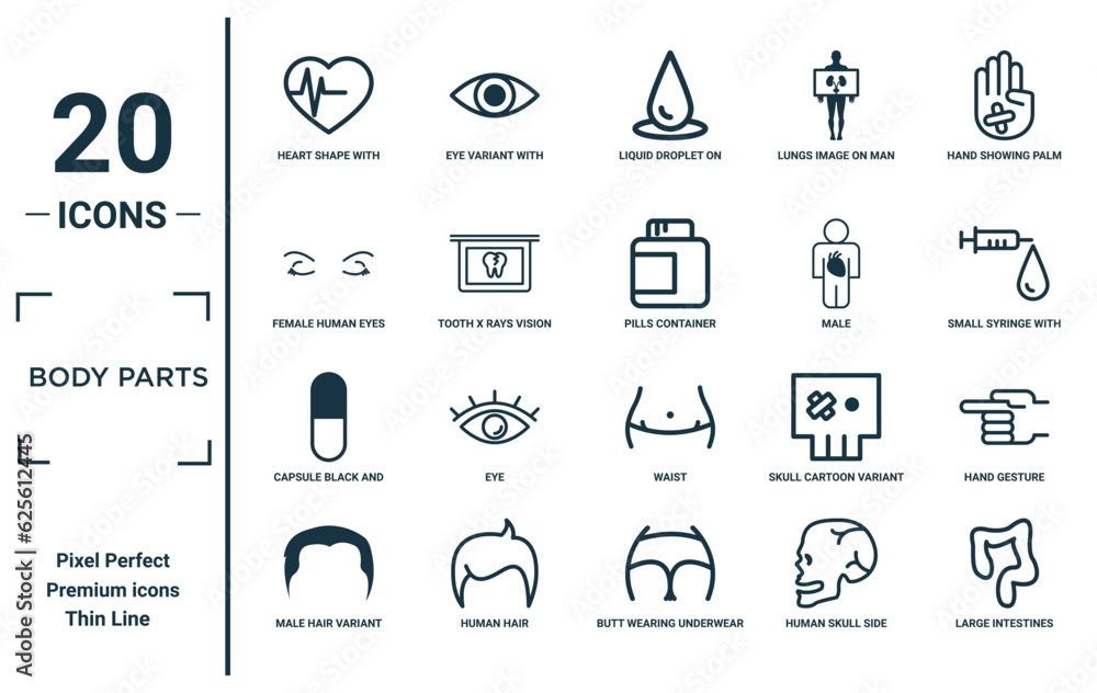body parts linear icon set. includes thin line heart shape with beats ...
