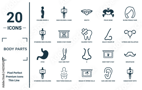body parts linear icon set. includes thin line column inside a male human body, standing man holding a large intestines image, stoh, standing man holding an x rays image, human body with x ray plate
