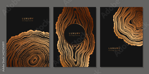 Set of templates. Luxury golden background with wood annual rings texture. Banner with tree ring pattern. Stamp of tree trunk in section. Natural wooden concentric circles. Black and bronze background