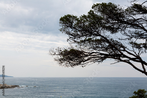 Image of an area of the Costa Brava in Catalonia. © Jorge