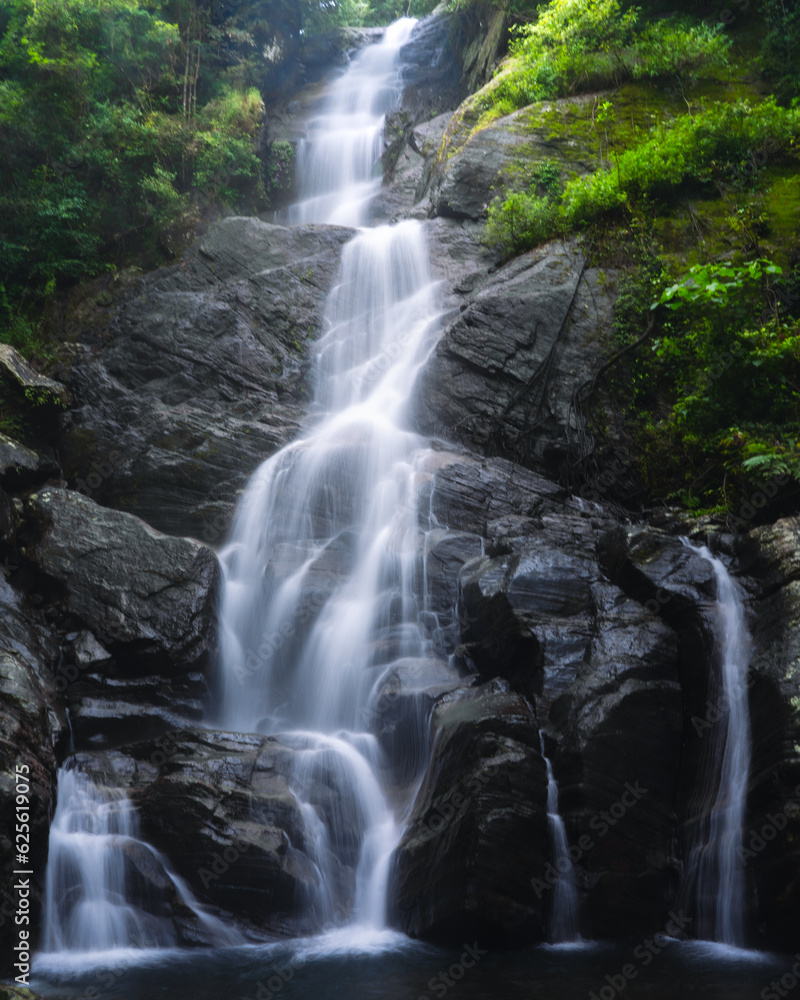 Obraz premium waterfall in the forest