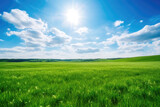 Green grass field and blue sky nature background