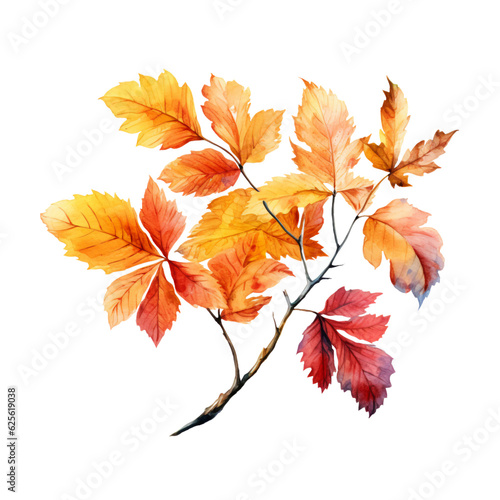 Beautiful Fall Autumn Leaves Watercolor Clip Art  Fall Autumn Leaf Watercolor Illustration  Fall Autumn Sublimation Design