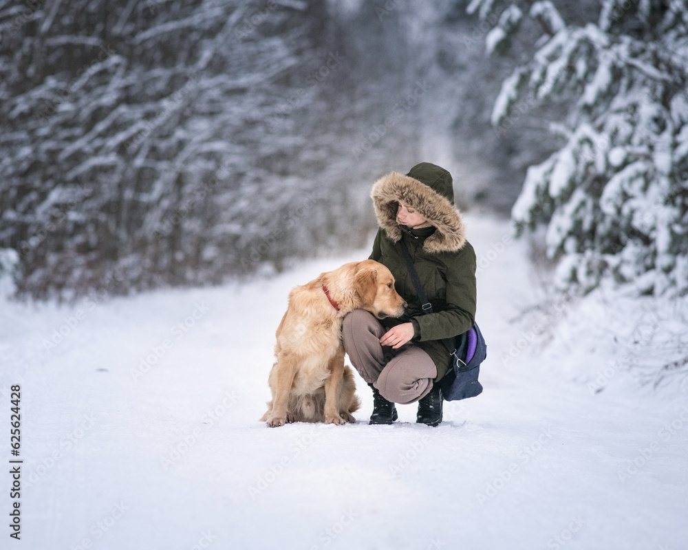 A young beautiful girl playing with a retriever in the winter forest. A young beautiful girl playing with a retriever in the winter forest.