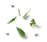 Collection of herbs and pepper spices from above with a semitransparent shadow