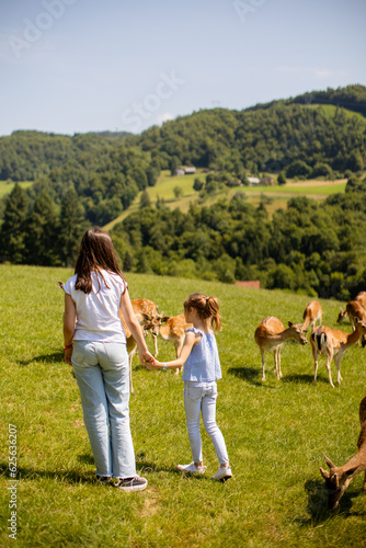 Little girls walking among reindeer herd on the sunny day
