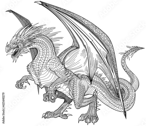 a medieval European dragon standing on its hind legs, angry with open jaws ready to attack, full body, side view. Black and white graphic style vector illustration